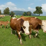 Weslhof * Attersee