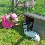 Agroturismo Weslhof *