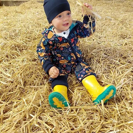 Weslhof בית חווה Attersee