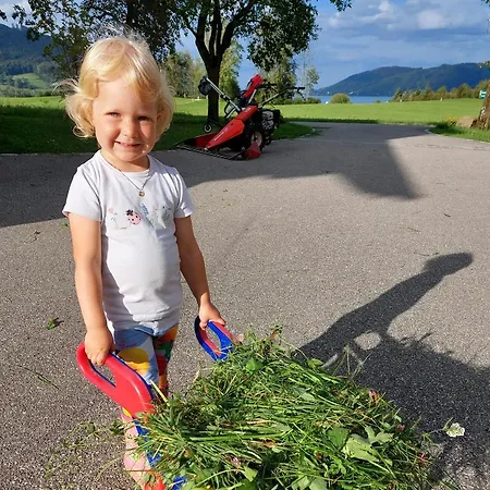 Farm stay Weslhof Attersee