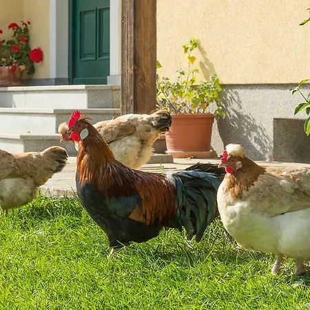 בית חווה Weslhof