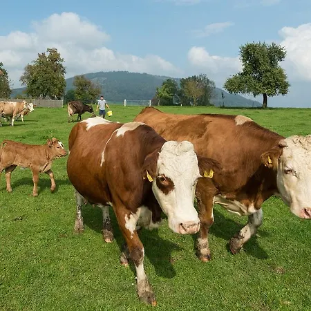 Weslhof * Attersee