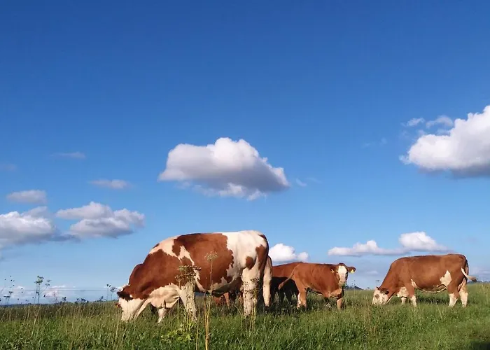 ويستهوف * Attersee