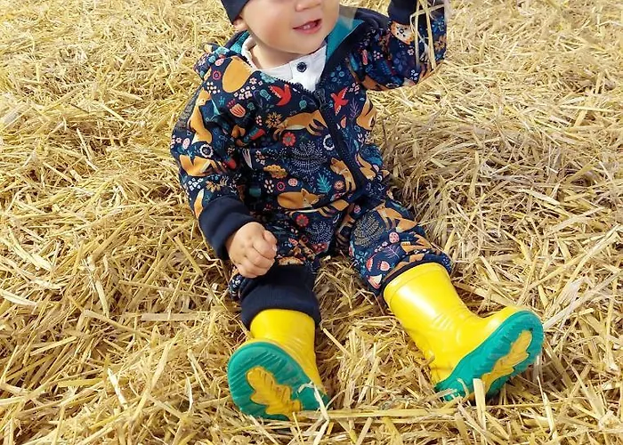 Weslhof Farm stay Attersee