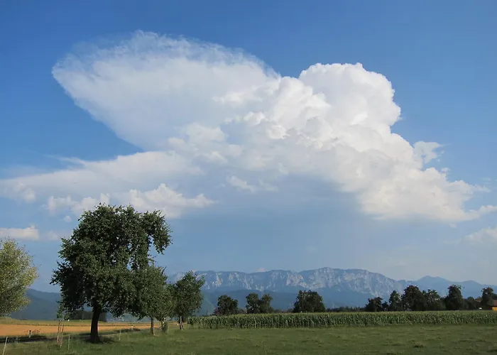 威尔斯霍夫酒店 Attersee