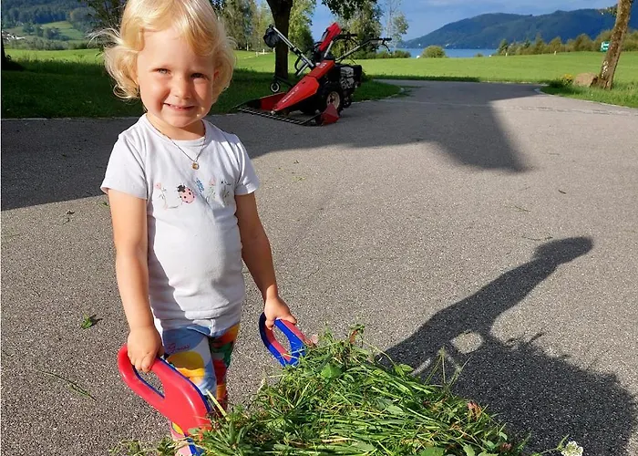 Çiftlik konaklama Weslhof Attersee