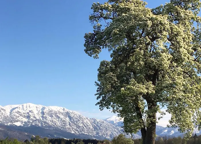 Weslhof Çiftlik konaklama *