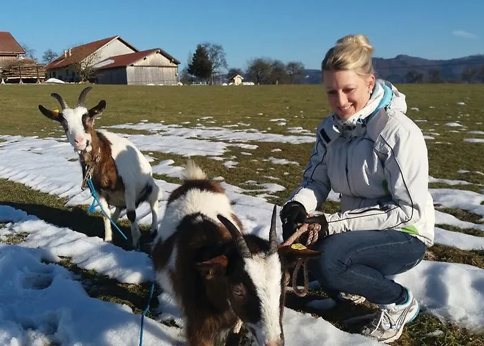 Çiftlik konaklama Weslhof